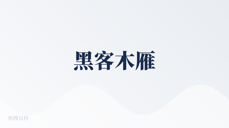 黑客木雁