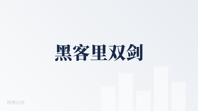 黑客里双剑