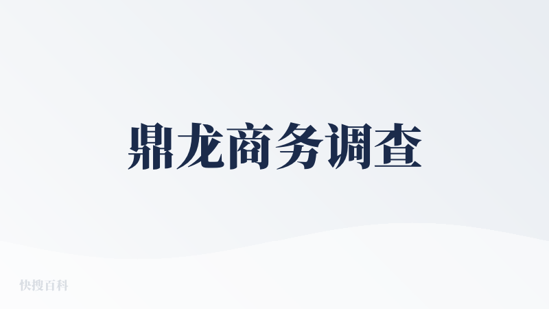 鼎龙商务调查