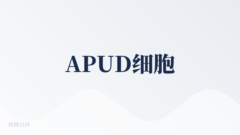 APUD细胞